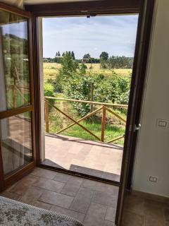 Agriturismo Consalvi - 8