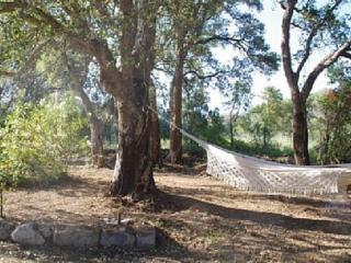 QUIET COTTAGE NEAR CITY CENTER - 4