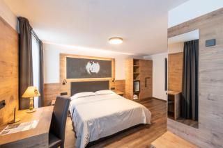Hotel Alpino Wellness & Spa - Peio Fonti - 2