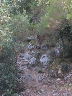 Fraîcheur & calme en Montagne, 30minutes de la mer - Porto-Vecchio - 2