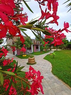 Demis Apartments - Sidari - 8