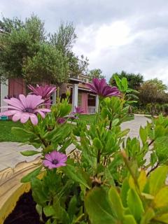 Demis Apartments - Sidari - 1