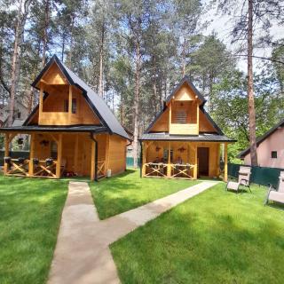 Brvnare Borove iglice - Vinci - 2