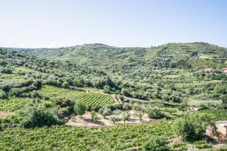 Le Case nel Vitigno - Modolo - Modolo - 6