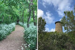 Vrijvakantiehuis Domburgseweg 24 - Domburg - 8