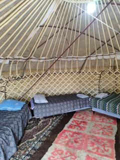 Guest house and Yurt camp "Ailuu" - Tong - 8