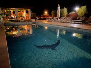 Room Gorana with swimming pool - Jelsa - 6