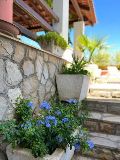 Room Gorana with swimming pool - Jelsa - 1