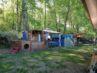 maison 70m2 calme vue sur forêt - Salles - 6