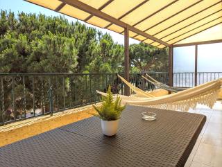 Litchi - Canet-en-Roussillon - 9