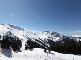 Charmant appartement à Avoriaz pour 6 pers, avec Wi-Fi et casier à ski - FR-1-314-119 - Avoriaz - 9