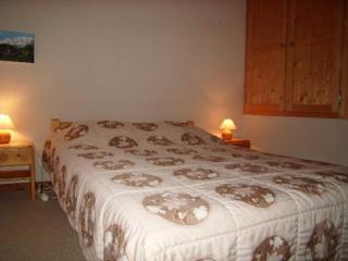 Studio-mezzanine 4 pers, animaux ok, parking, proche pistes et commerces - FR-1-733-114 - Crest-Voland - 7