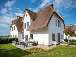 Reetidyll am Haff - Stolpe auf Usedom - 4