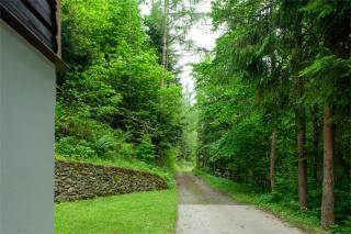 Świt w Gorcach - dom wakacyjny - 1