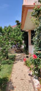 Dream vacation - Medulin - 5