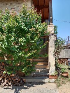 Chez mimi - Anse - 2
