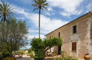 Agroturismo Es Pla De Llodrá - Manacor - 0