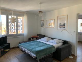 Appartement Cosy proche du centre - Annecy - 3