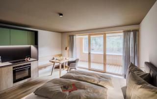 freiraum Apartments - Mellau - 8
