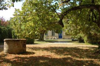 Chateau Monichot Organic Vineyard - Tauriac - 9