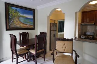Villa Gumio 2BR Apt- 7 min walk to Boca Chica Beach apts - Boca Chica - 8
