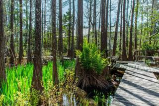 Cassine Gardens 112- 30A Imagine Ocean - Santa Rosa Beach - 2