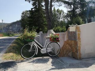 Villa Oasi - San Giuliano Terme - 1