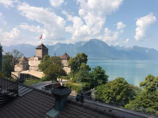 Castle view - Veytaux - 5