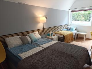 Big Blue Apartments - 3 osobowy - 6