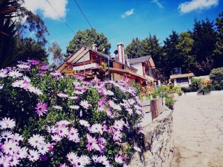The Frailejon House - 1