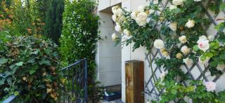 Maison de campagne entre Loire et vignes - Charcé-Saint-Ellier-sur-Aubance - 7