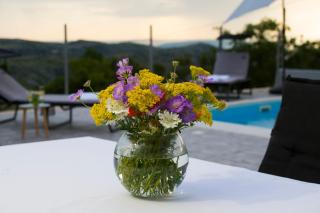 Mountain House Kajko with pool & free parking on site - Gornje Sitno - 1