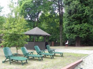 Dom Wczasowy Magnolia - Lądek-Zdrój - 6