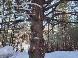 La Rikiki du petit ruisseau - 4