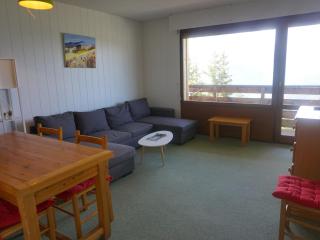 Appartement 2P à Orcières Merlette, 6 pers, animaux acceptés, proche pistes et commerces - FR-1-636-99 - Orcières - 0