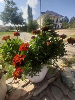 Yurt camp Meiman Ordo - 2