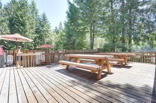 Cozy Cabin - Rhododendron - 3