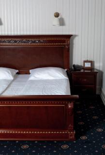Hotel Aristocrat - Chernivtsi - 1