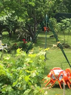 chambre et salle de bain privé s'ouvrant sur terrasse, jardin et cuisine d'été - Quillan - 3
