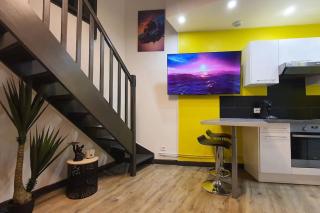 Duplex T2 Neuf Jardin Lecoq - Clermont-Ferrand - 9