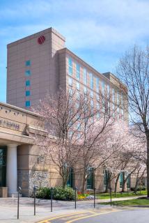 Franklin Marriott Cool Springs - Franklin - 5