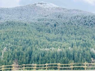 Appartamento nuovo tra Bormio e Livigno - 7