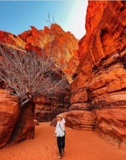saleem with jeep tour - Wadi Rum - 1