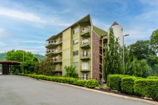 Convenient Gatlinburg Condo - Gatlinburg - 7