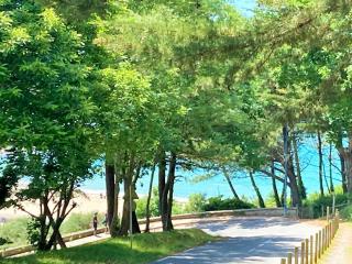 Appartement Plage de Kerfany les Pins - 6