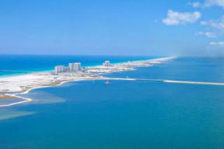 Poolside Palms Paradise - 7