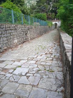 Apartments Pavic - Risan - 8