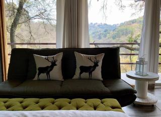 Cabaña El Encino II En Real del Monte - 9