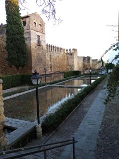 Córdoba centro esencia cordobesa. Mezquita - 7