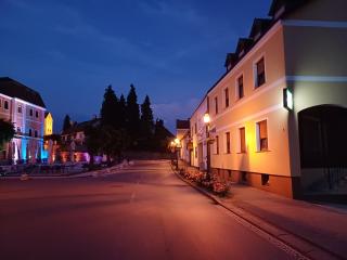Garden - Varaždinske Toplice - 8